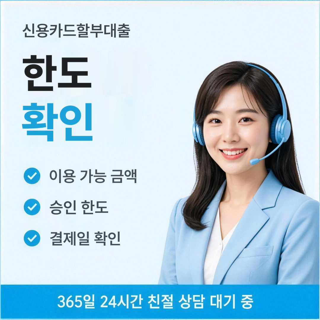 다음머니 신용카드할부대출 한도 확인 안내 이미지
