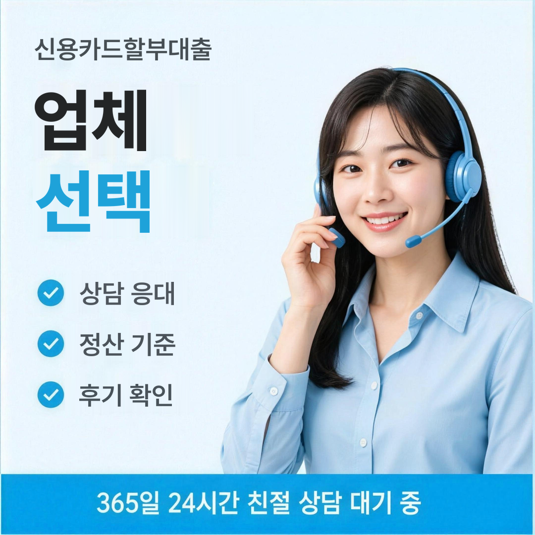 다음머니 신용카드할부대출 업체 선택 기준 안내 이미지